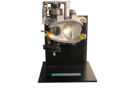 節氣門控制元件解剖模型