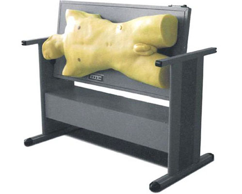 理工醫學 綜合穿刺術與叩診檢查技能訓練模型