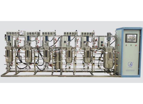 LG-DPJ系列 多聯平行機械攪拌不銹鋼發酵罐