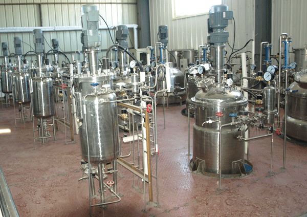 LG-PJ系列 全自動多聯不銹鋼發酵罐—大型發酵車間