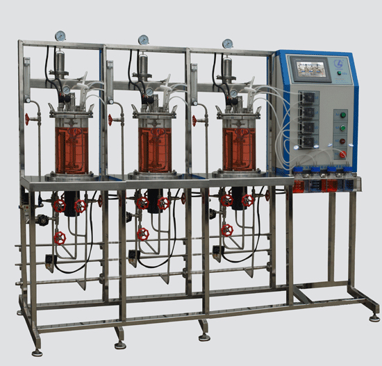 DME系列多聯平行磁耦合攪拌玻璃發酵罐 