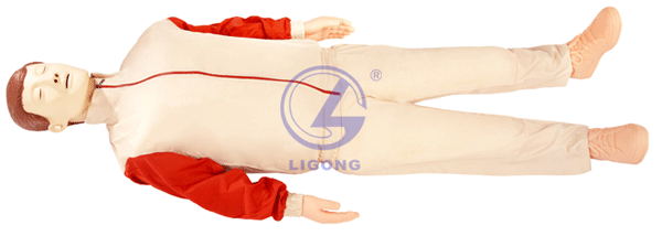 高級全自動電腦心肺復蘇模擬人